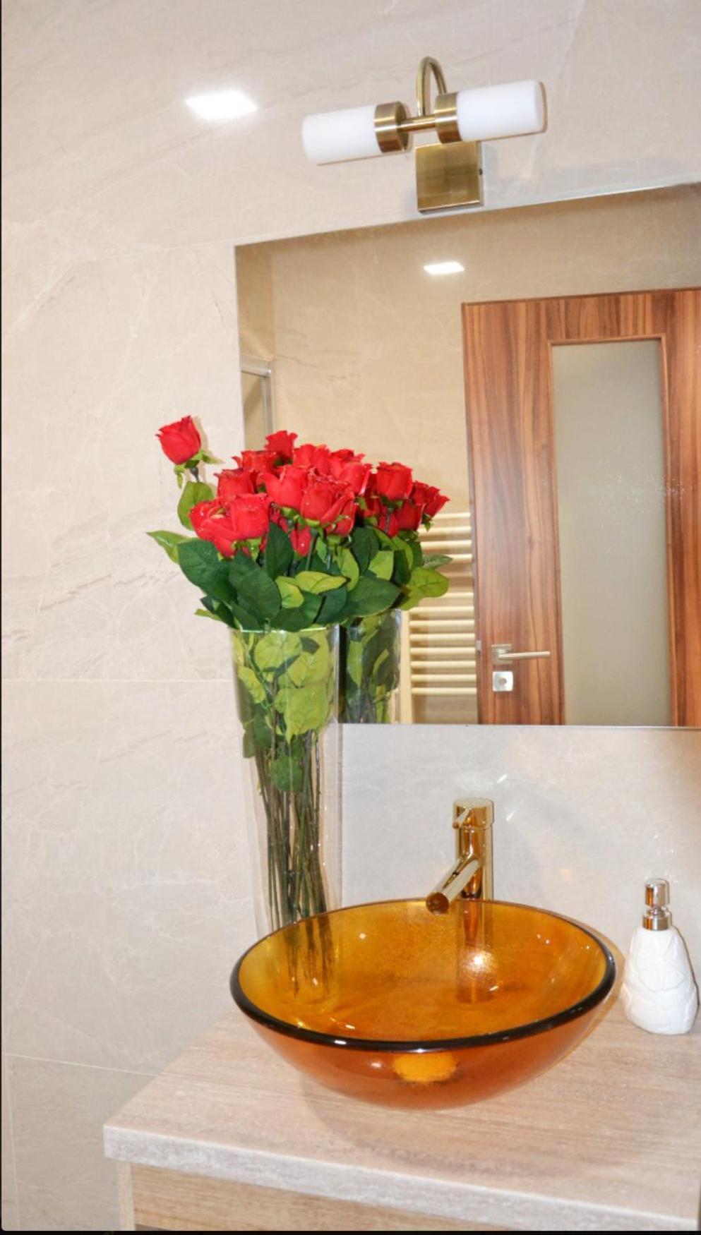 U Polanskych Apartment *